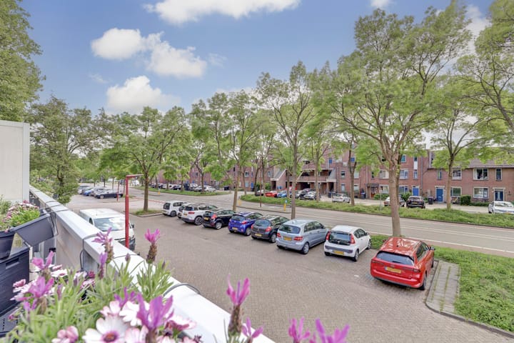 Foto 21 van Goudfazant 6