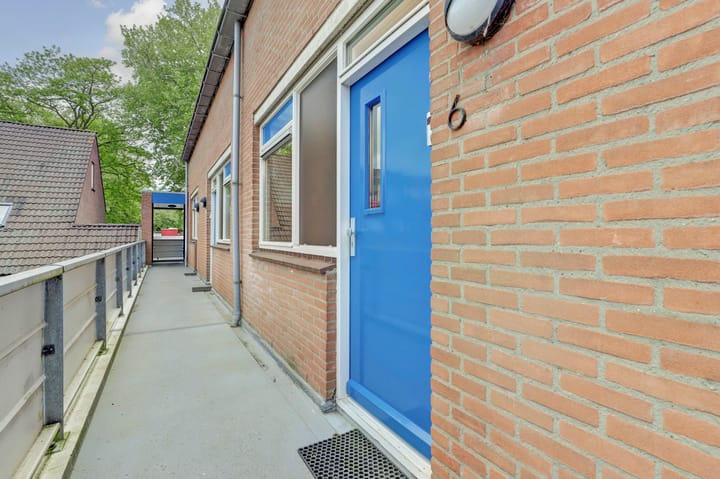 Foto 5 van Goudfazant 6