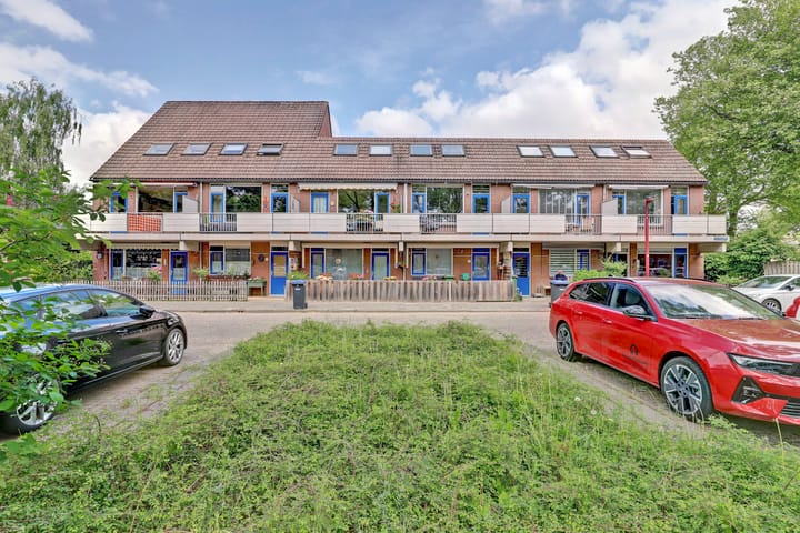 Foto 23 van Goudfazant 6