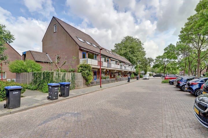 Foto 24 van Goudfazant 6