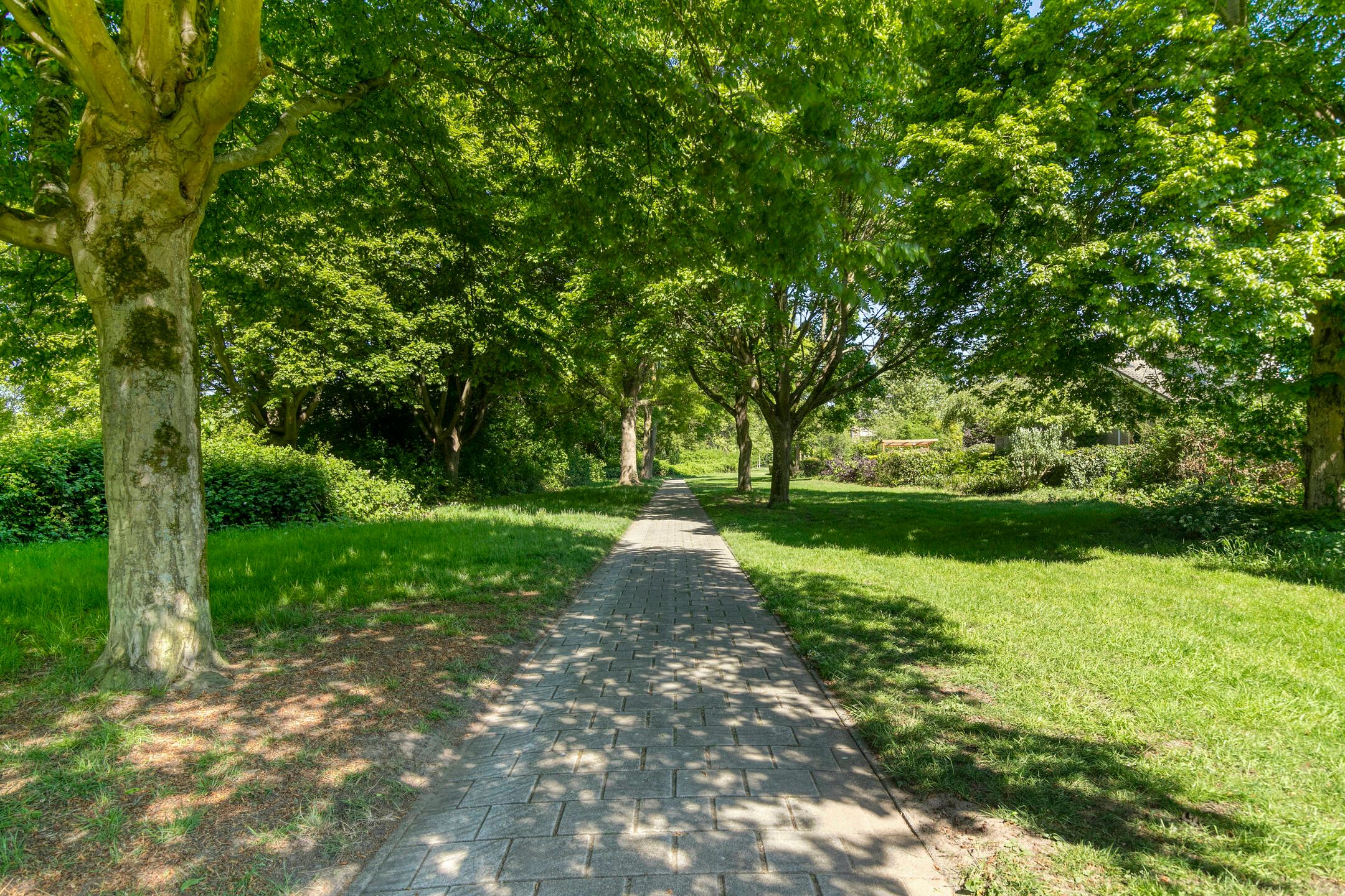 Foto 36 van Paulusdonk 17