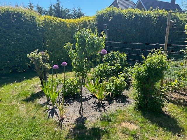 Foto 41 van Molenvaart 158