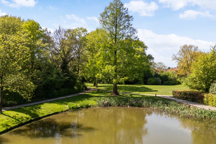 Foto 3 van Schapestraat 76-1