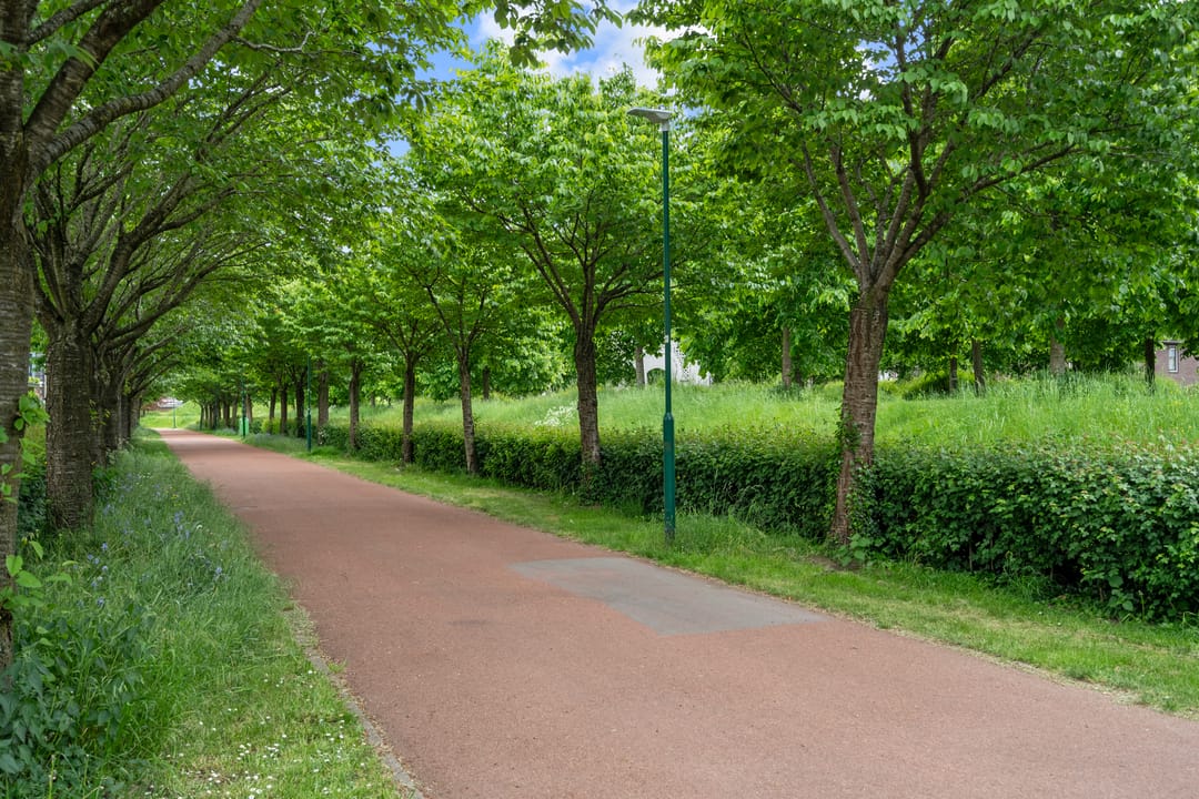 Foto 46 van Waalsteen 33