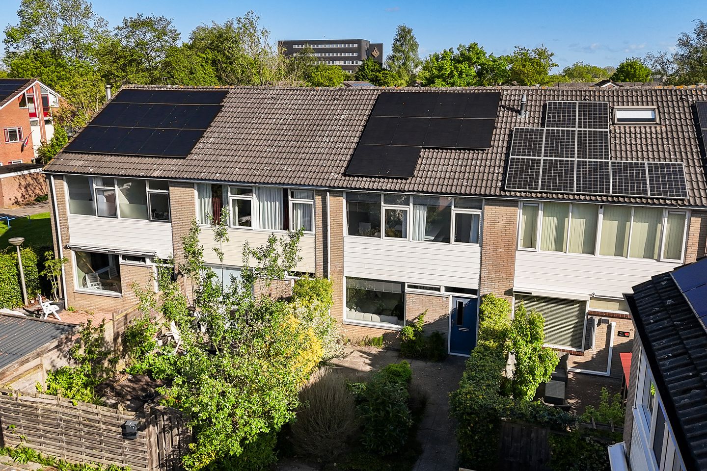 Foto 1 van Maagdepalm 33