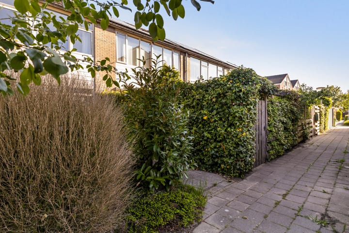 Foto 2 van Maagdepalm 33