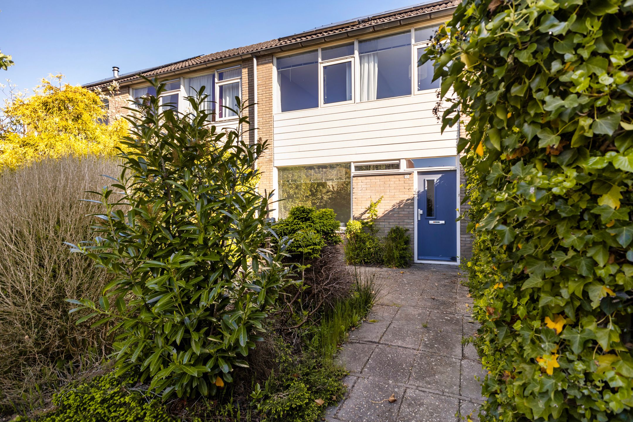 Foto 3 van Maagdepalm 33