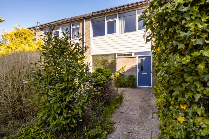 Foto 3 van Maagdepalm 33