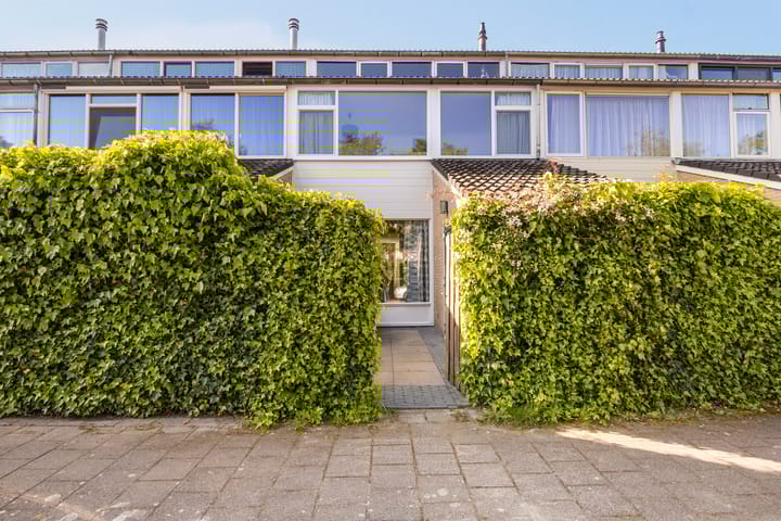 Foto 4 van Maagdepalm 33