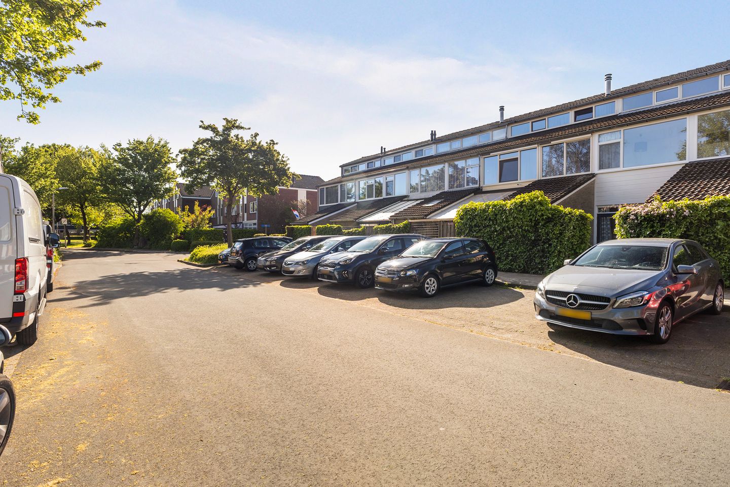 Foto 5 van Maagdepalm 33