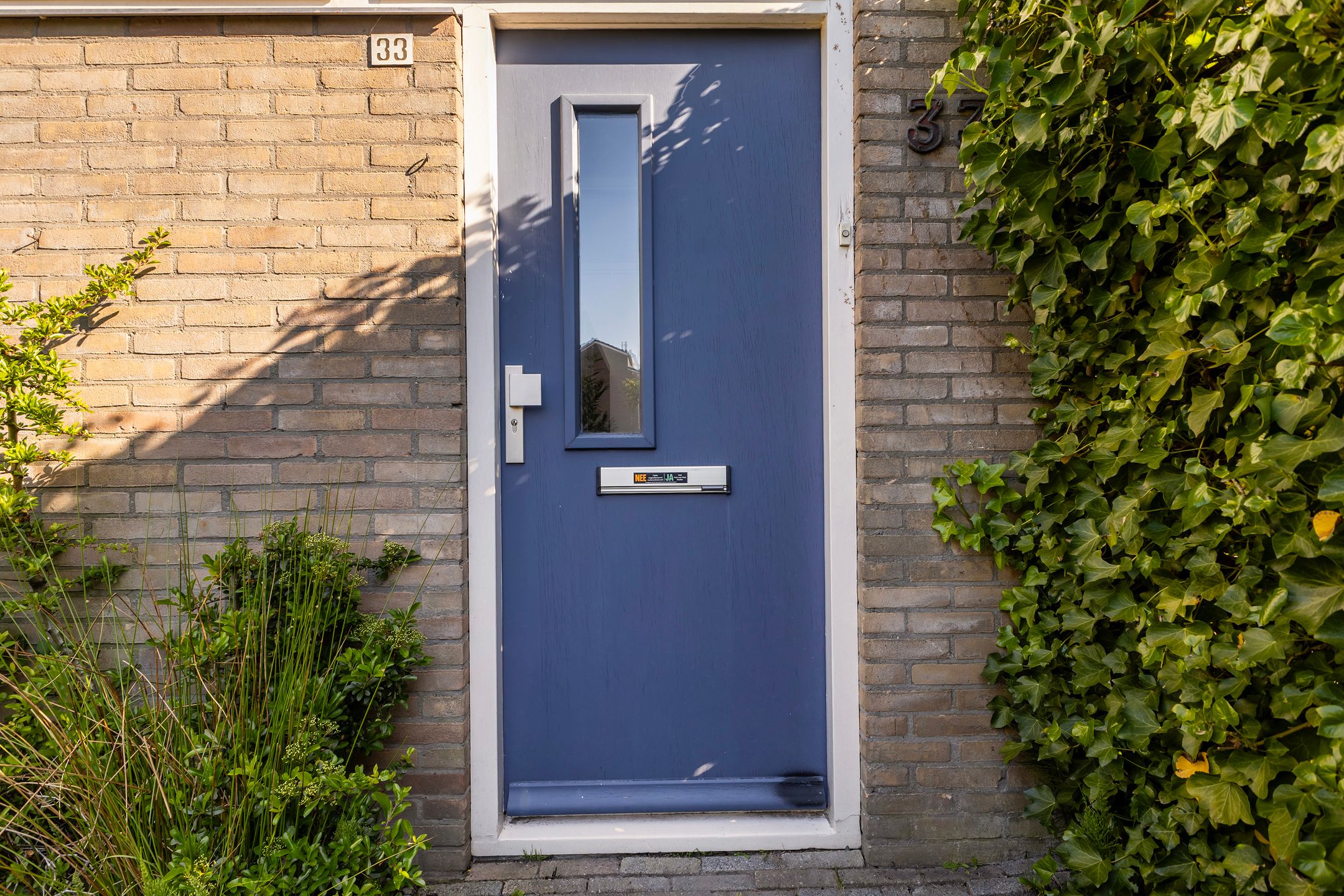 Foto 6 van Maagdepalm 33