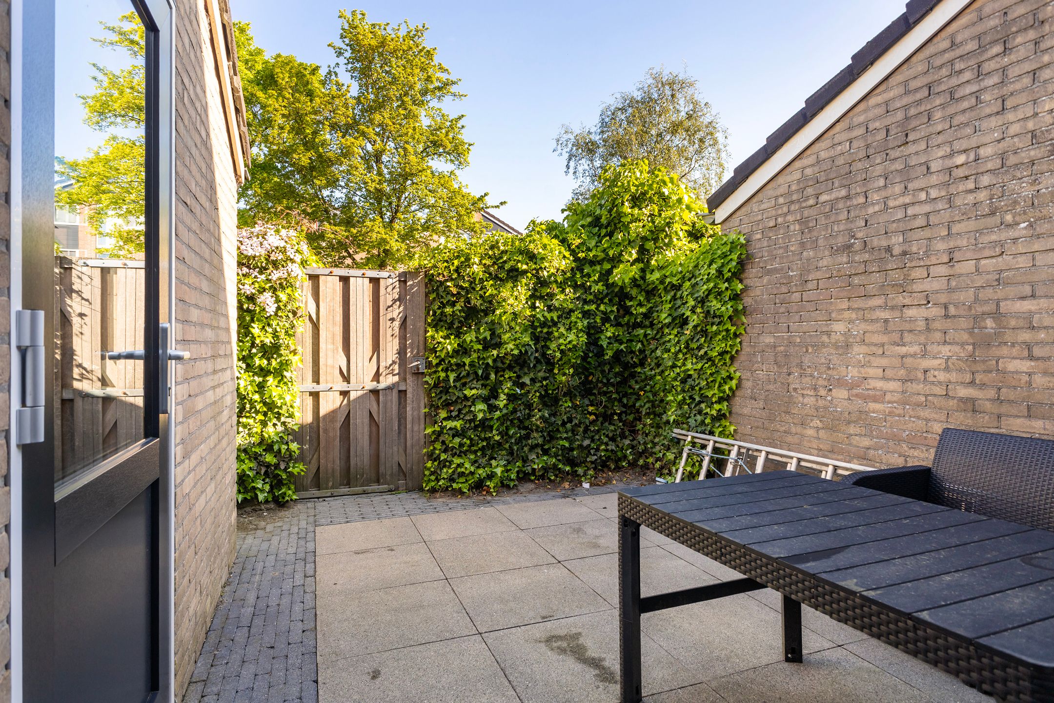 Foto 24 van Maagdepalm 33