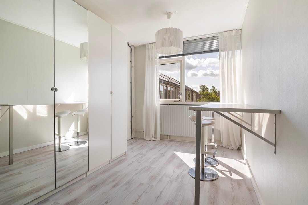 Foto 32 van Maagdepalm 33