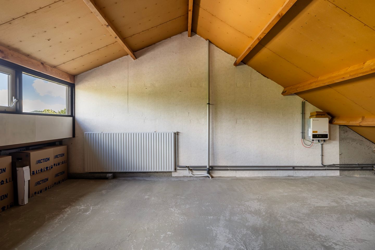 Foto 35 van Maagdepalm 33