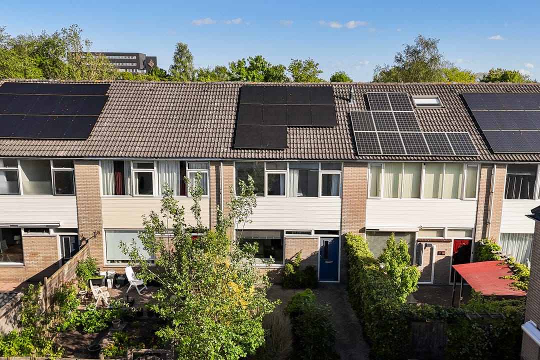 Foto 37 van Maagdepalm 33