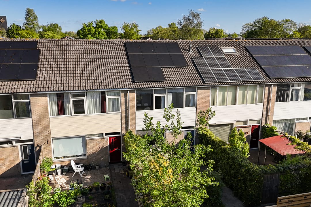 Foto 38 van Maagdepalm 33