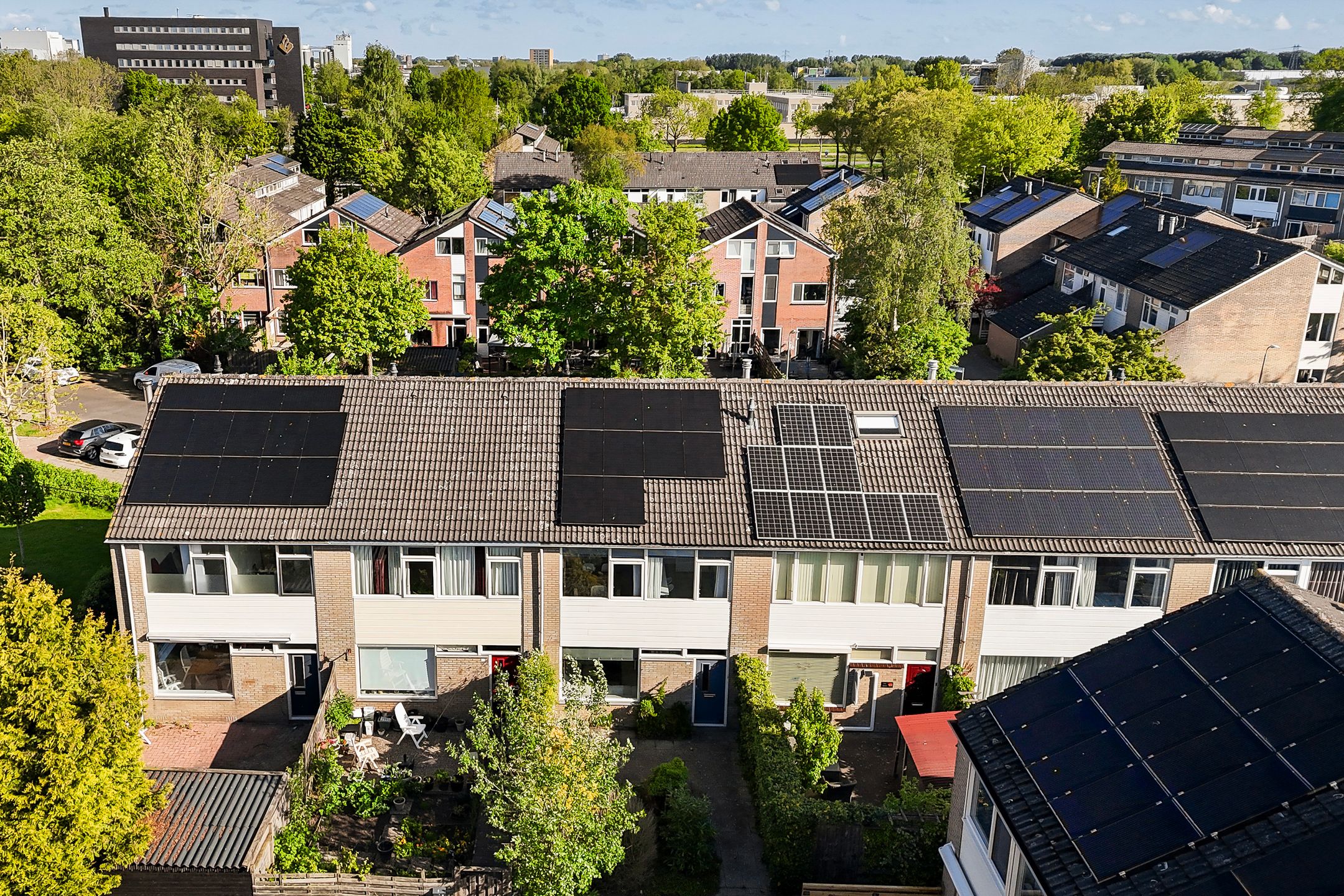 Foto 39 van Maagdepalm 33