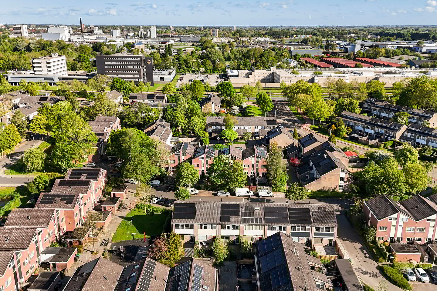 Foto 40 van Maagdepalm 33