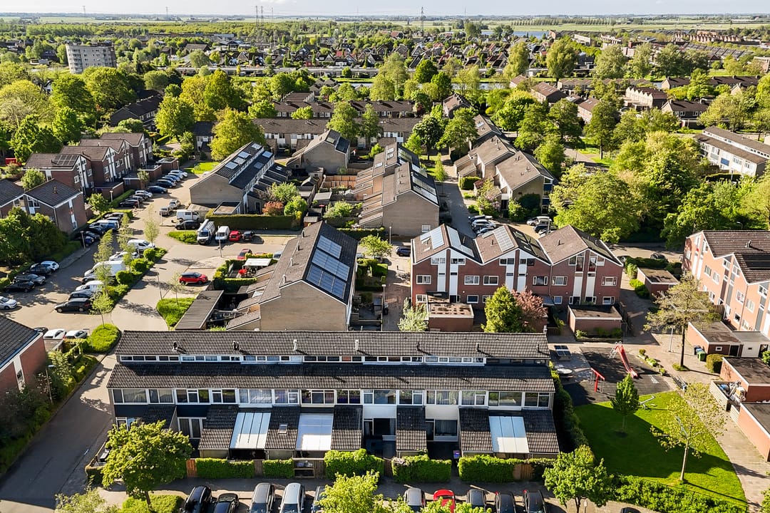 Foto 41 van Maagdepalm 33