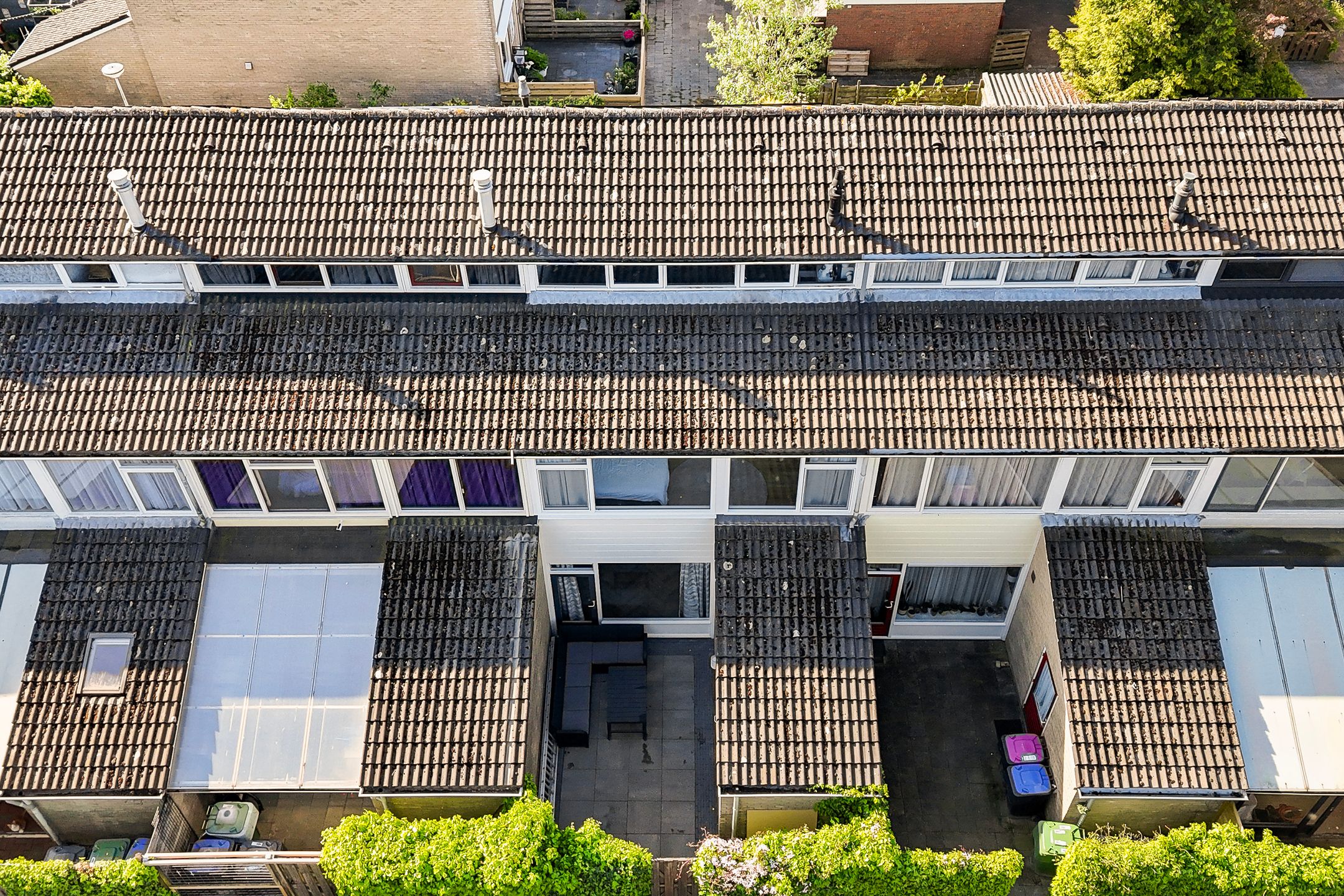 Foto 42 van Maagdepalm 33