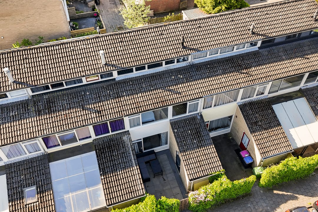 Foto 43 van Maagdepalm 33