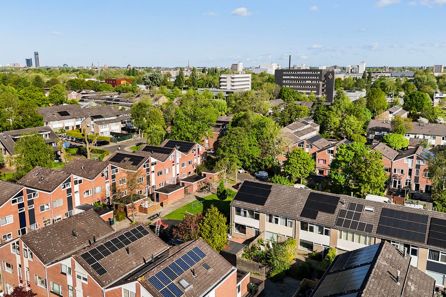 Foto 44 van Maagdepalm 33