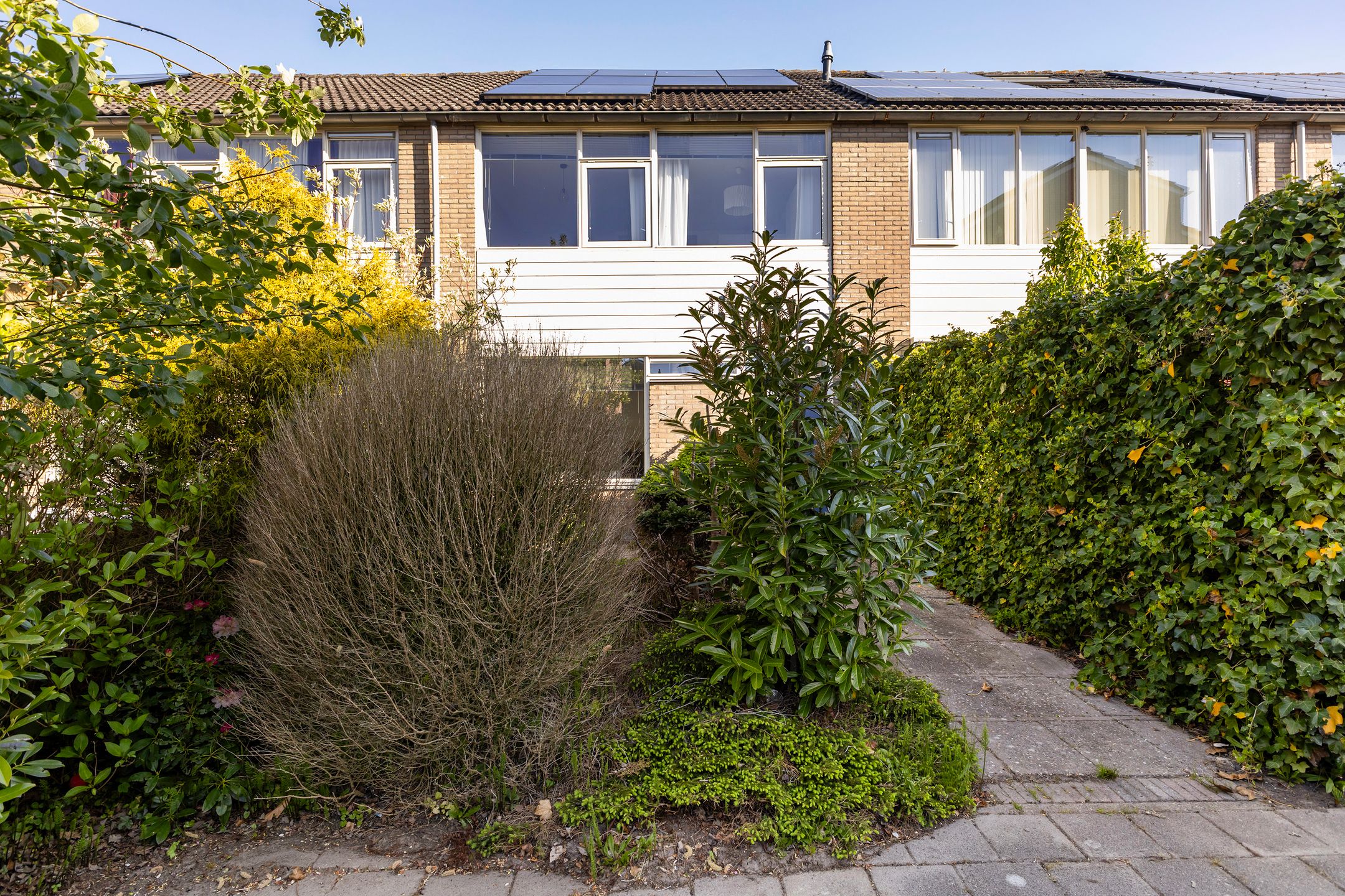 Foto 45 van Maagdepalm 33