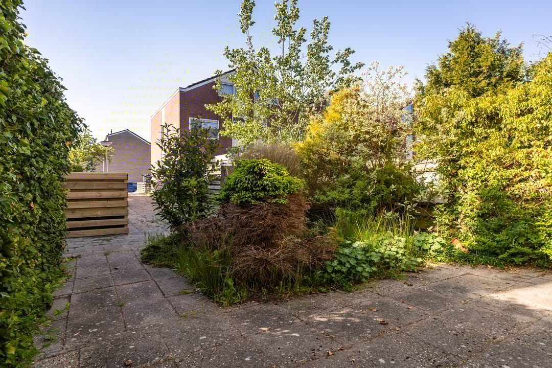 Foto 46 van Maagdepalm 33