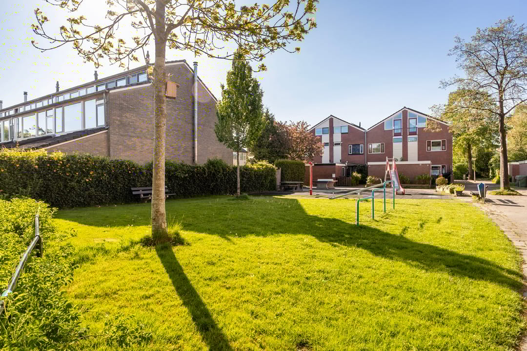 Foto 47 van Maagdepalm 33