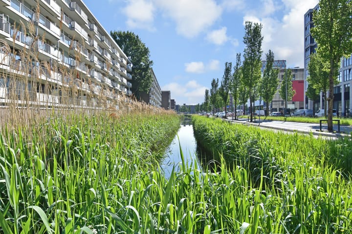 Foto 5 van Ronsseweg 521