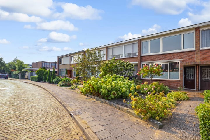 Foto 5 van Buitenmolen 9