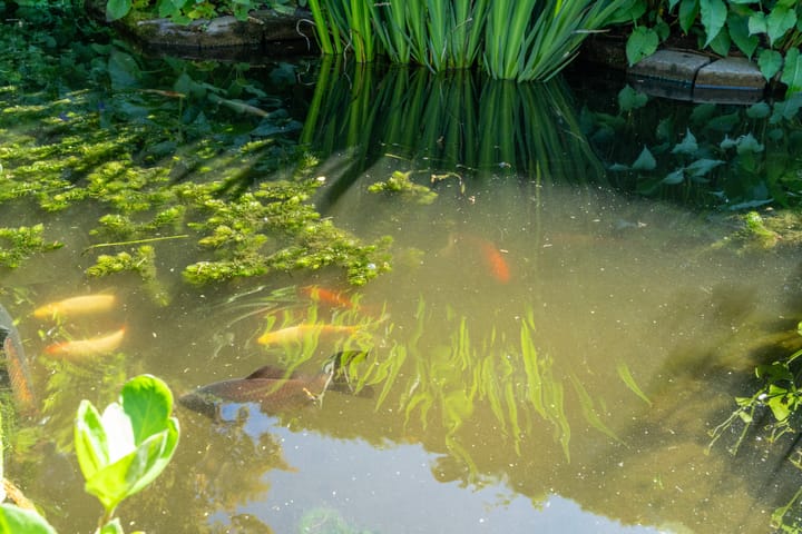 Foto 37 van Kerklaan 11