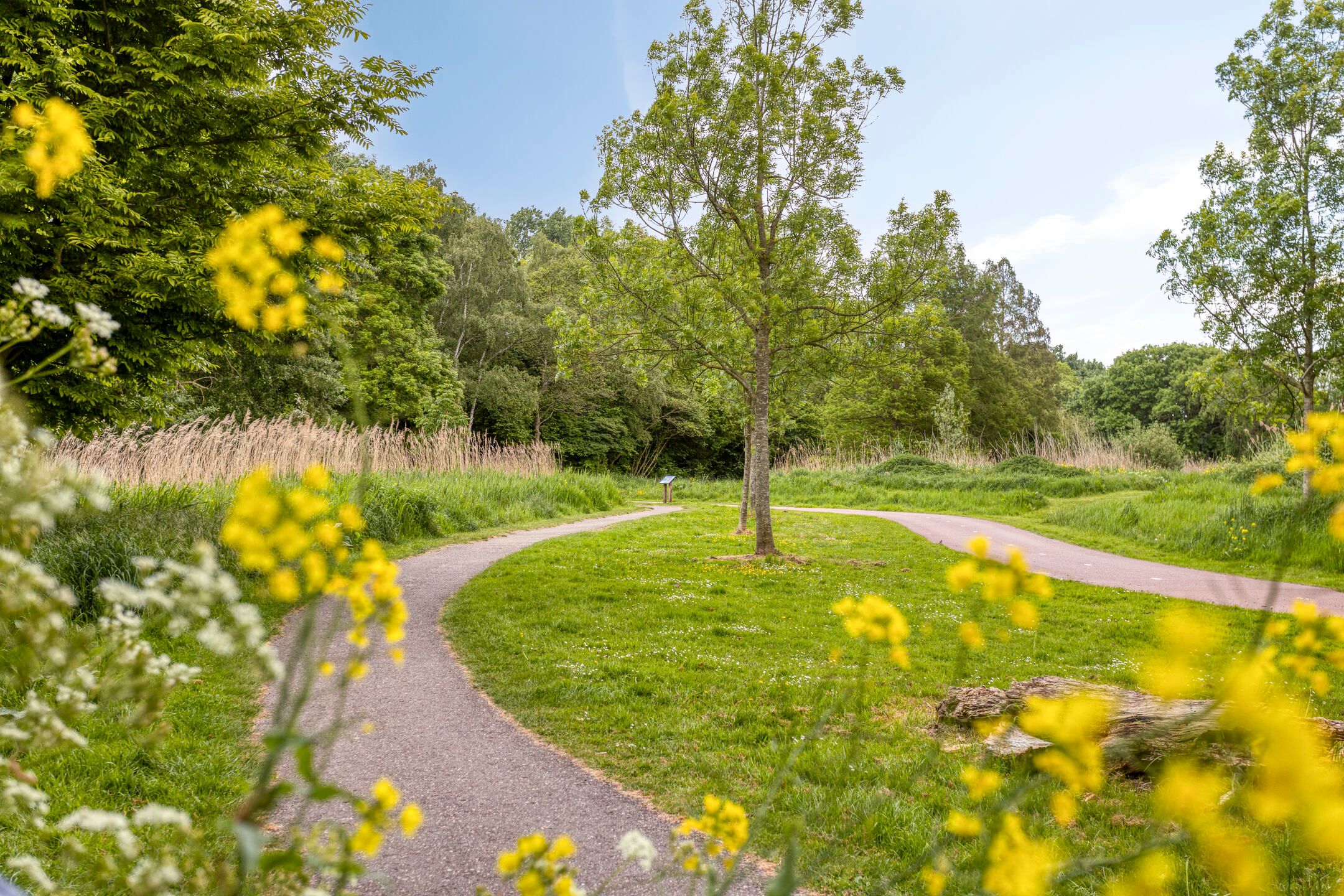 Foto 36 van Capelseweg 184