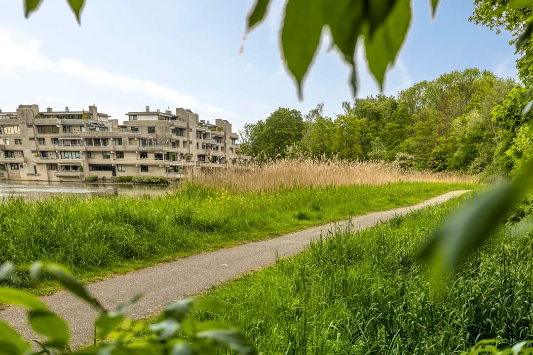 Foto 37 van Capelseweg 184