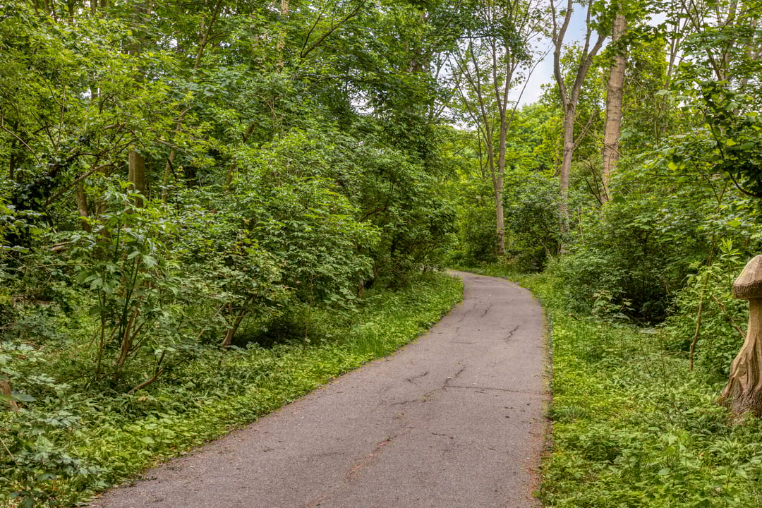 Foto 38 van Capelseweg 184