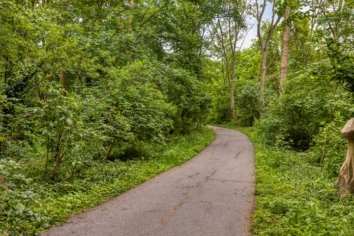 Foto 38 van Capelseweg 184