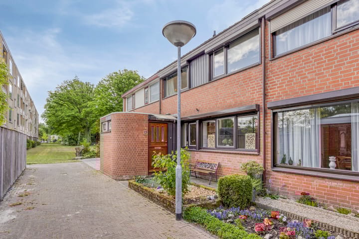 undefined main image