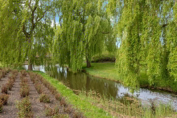 Foto 36 van Sudemare 14