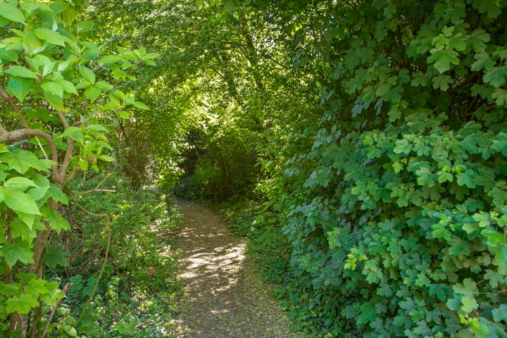 Foto 32 van Vierde Buitenpepers 20