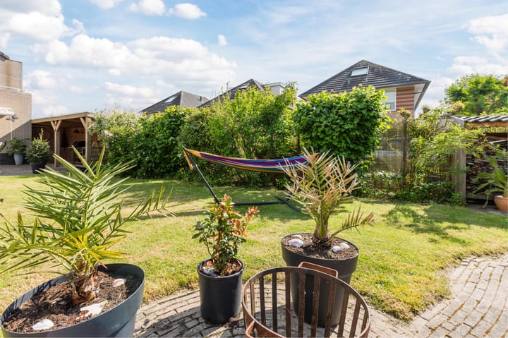 Foto 68 van Koningsspil 43