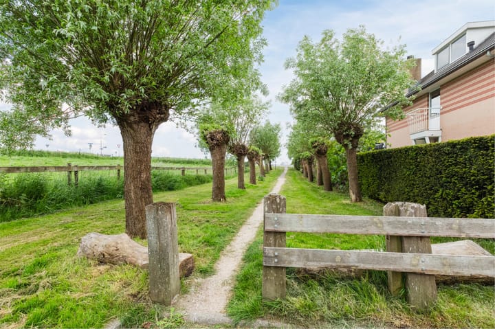 Foto 83 van Koningsspil 43