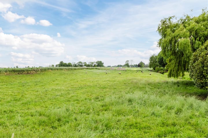 Foto 89 van Koningsspil 43