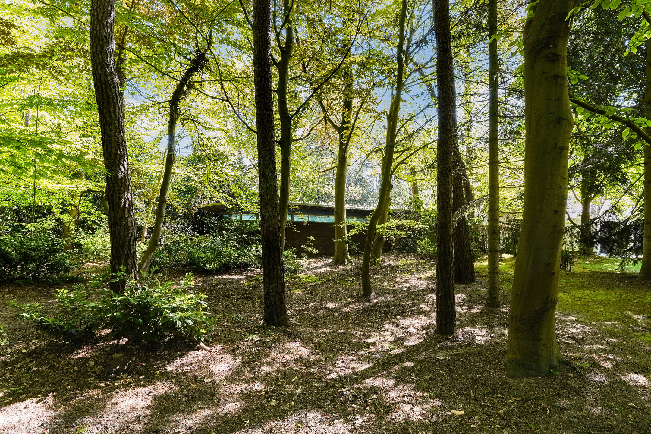 Photo 60 of Moergestelseweg 107