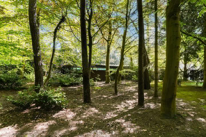 Foto 60 van Moergestelseweg 107