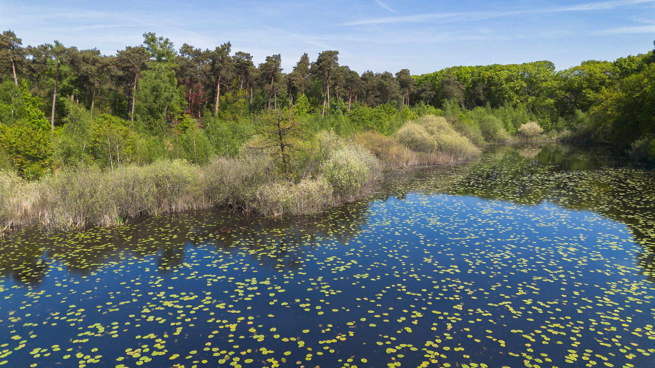 Photo 66 of Moergestelseweg 107