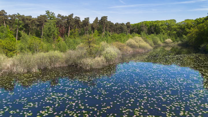 Foto 66 van Moergestelseweg 107