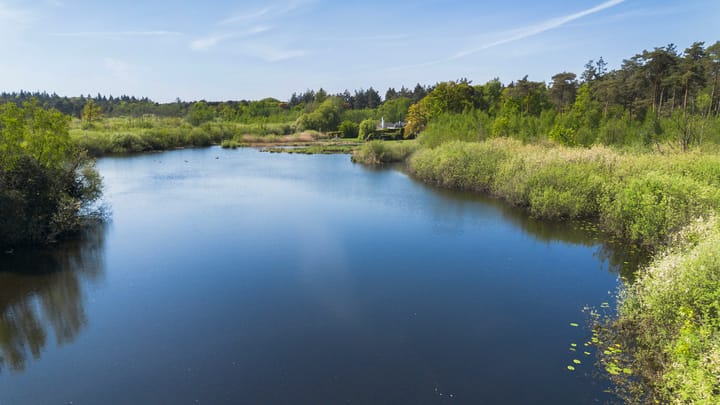 Foto 67 van Moergestelseweg 107
