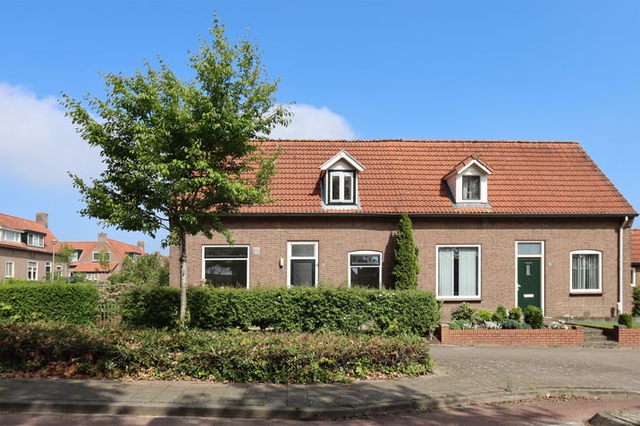 undefined main image