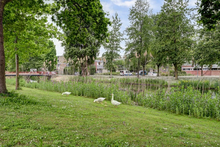 Photo 21 of Bachstraat 438
