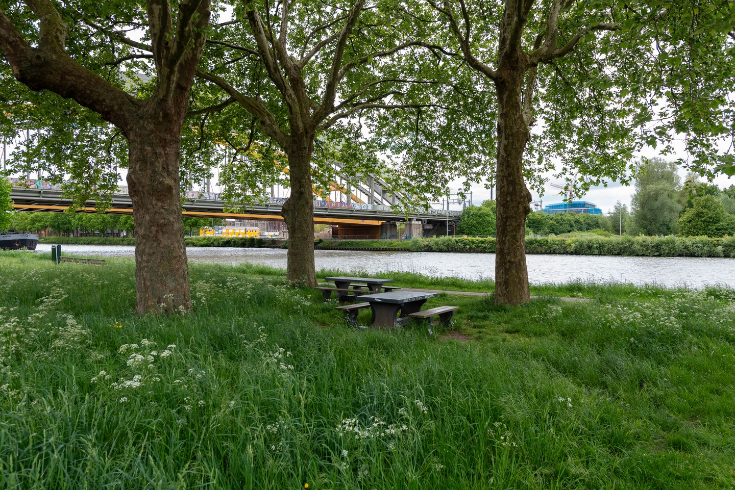 Foto 50 van Barkasstraat 58